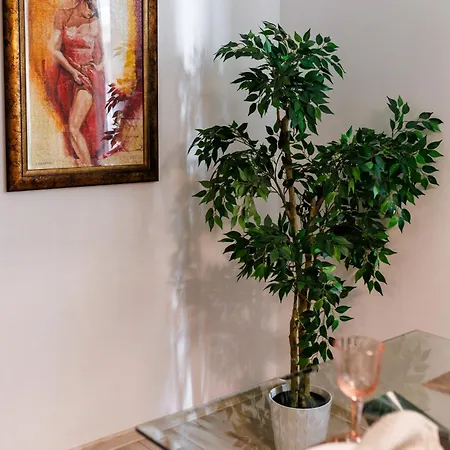 Nabaro 44 Harmony View * Mamaia